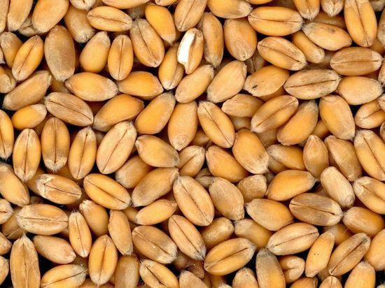 США не будут включать Россию в список стран - спонсоров терроризма