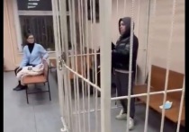 В Москве суд арестовал женщину, которая сбила на дороге мать с двумя детьми