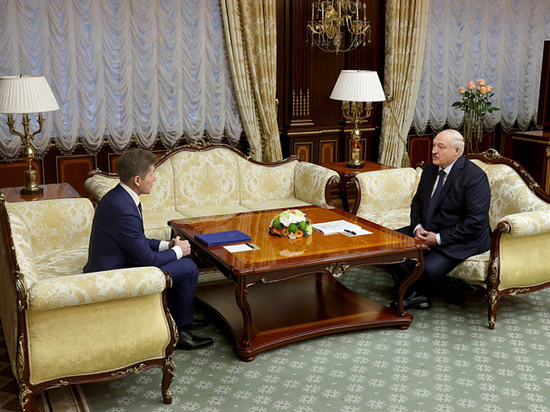 Олег Кожемяко встретился с президентом Белоруссии
