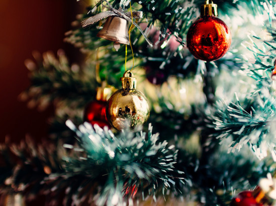 Где в доме поставить новогоднюю ёлку: советы астролога