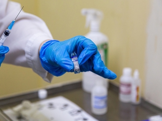 Вирусолог из Новосибирска увидел перспективу развития пандемии коронавируса