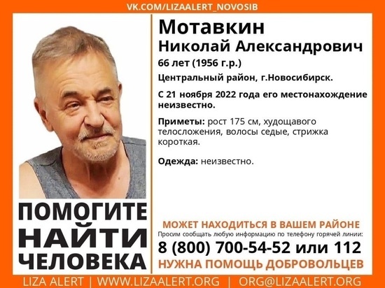 В Новосибирске с 21 ноября ищут 66-летнего пенсионера