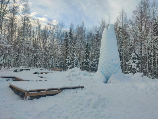 На Южном Урале сфотографировали шестиметровую шишку