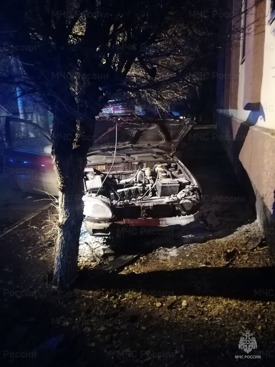 В Оренбурге автомобиль врезался в дерево
