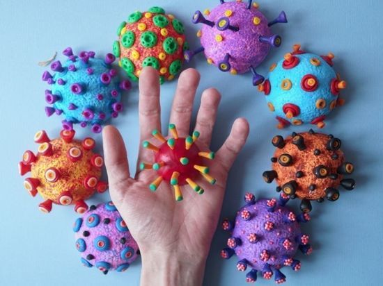 Свиной грипп в Ленобласти: как не заболеть и что делать при первых симптомах