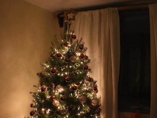 Эксперты Авито рассказали красноярцам о средних ценах на елки к Новому году