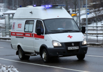 14-летний подросток умер после игры в волейбол в московской школе