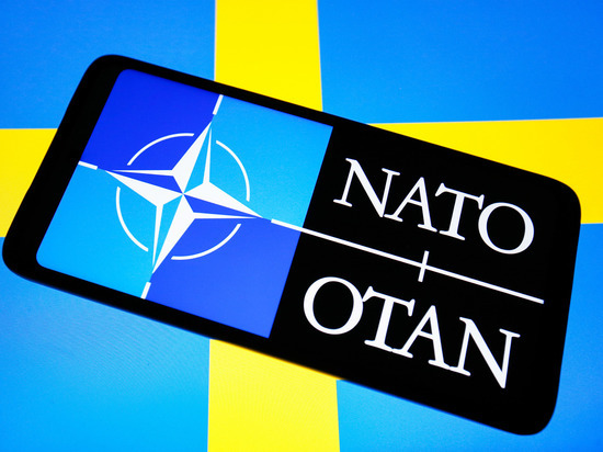В Швеции усомнились в возможности вступления в НАТО в 2023 году