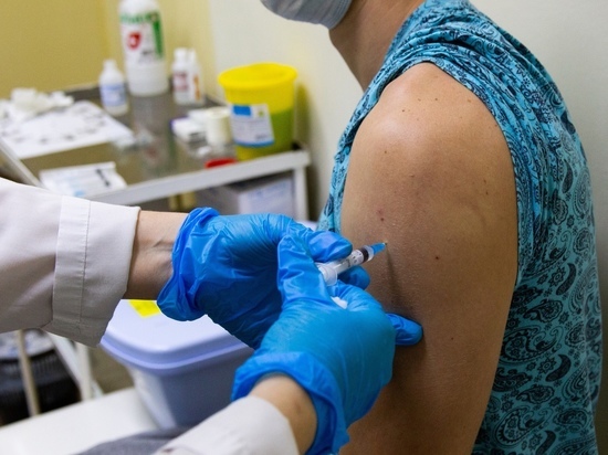 Новосибирский вирусолог назвал группы риска по заражению свиным гриппом