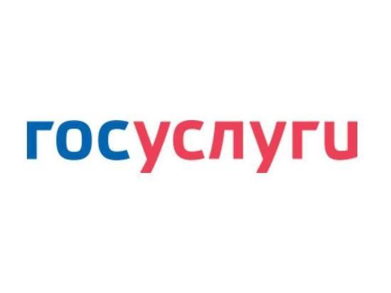 Для мобилизованных тюменцев и их семей запустили новый сервис на Госуслугах