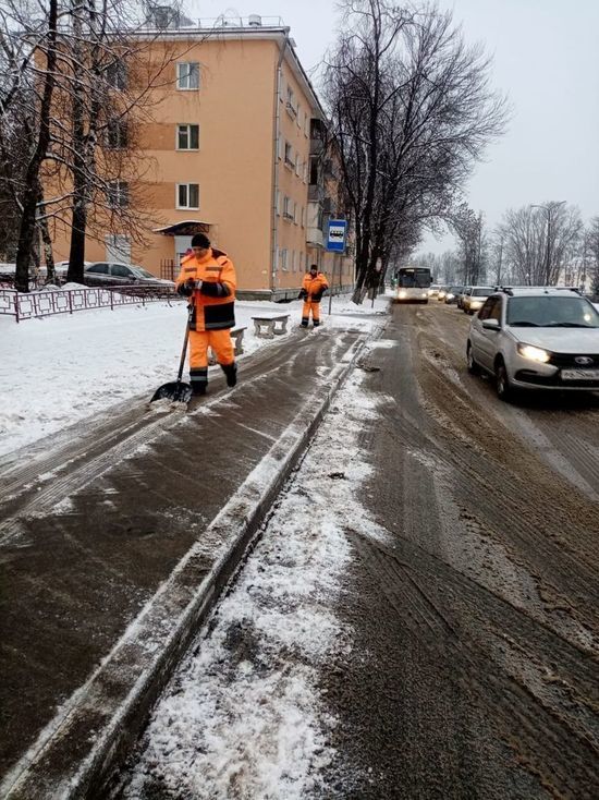 25 единиц спецтхехники и 50 человек работают в Пскове после ночного снегопада