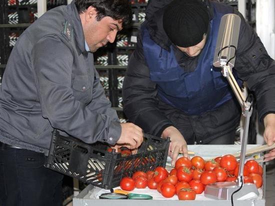 Около 250 тонн заражённой продукции обнаружили при ввозе Дагестана