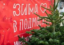 На территории городского округа Серпухов незадолго до Нового года откроются 9 точек продажи главного символа праздника – ёлок и аксессуаров для них