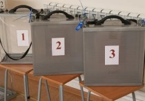 Голосование, в ходе которого выберут депутата АКЗС, представляющего два района – Каменский и Крутихинский, запланировано на 29 января 2023 года