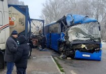 Сегодня, утром 30 ноября, на 42-ом километре автодороги "Тула - Новомосковск" Узловского района Тульской области, водитель автобуса марки "Volga Bus" врезался в стоящую на обочине цистерну "Mercedes"