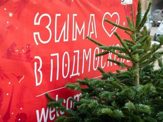 Девять ёлочных базаров откроются в Серпухове за десять дней до Нового года