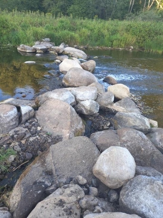 В Тверской области мужчина самовольно сделал плотину из камней и перекрыл реку