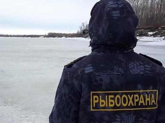 Ярославский рыбнадзор проверит речку Потонуху с ОМОНом