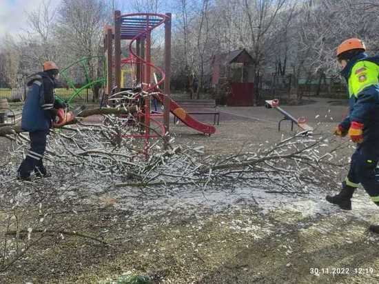 Ураганный ветер повалил деревья в Ставрополе и оставил людей без света