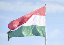 Венгрия ратифицирует соглашение о членстве Финляндии и Швеции в НАТО в начале февраля 2023 года