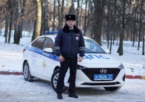 В минувшую субботу, днём 26 ноября, сотрудник Госавтоинспекции Тульской области Никита Серёгин обратил внимание на припаркованный большегруз