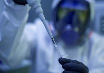 Органы здравоохранения КНР сообщили, что зафиксирован новый случай инфицирования человека высокопатогенной разновидностью птичьего гриппа H5N1

В сообщении говорится, что заболевшая 38-летняя жительница  города Цинчжоу в южном Гуанси-Чжуанском автономном районе скончалась в больнице