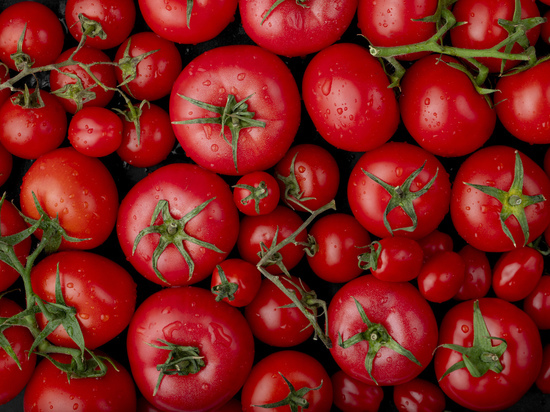 Эксперты раскрыли пользу регулярного употребления помидоров