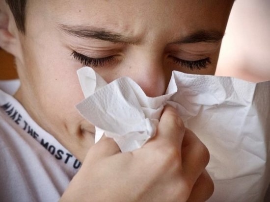 Более 30 школ и детсадов ввели карантин из-за вспышки гриппа в Забайкалье