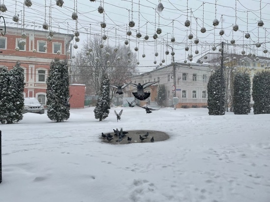 В ночь на 1 декабря в Рязанской области похолодает до -18 градусов