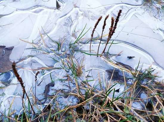 Под Воронежем на берегу реки нашли примерзшее ко льду тело мужчины