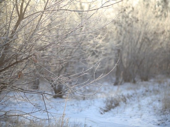 В первый день декабря Волгоградскую область накроют морозы до -12 ºС