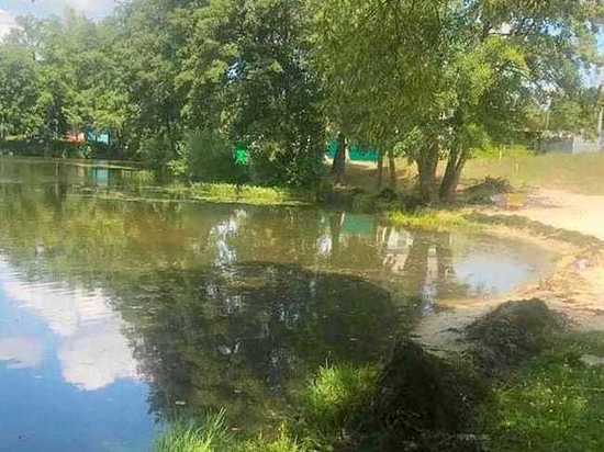 В Притамбовье планируют почистить реку Мошляйка