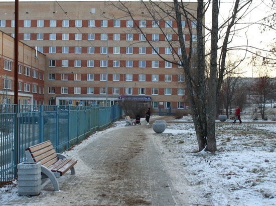 На территории около городской поликлиники Петрозаводска поставили вазоны