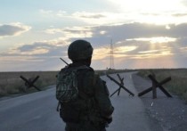 В Сети появилось видео удара российских военнослужащих по позициям Вооруженных сил Украины на Угледарском направлении