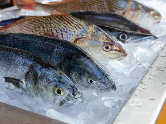 Экспорт рыбной продукции с Сахалина в Индонезию и КНДР значительно вырос в 2022 году