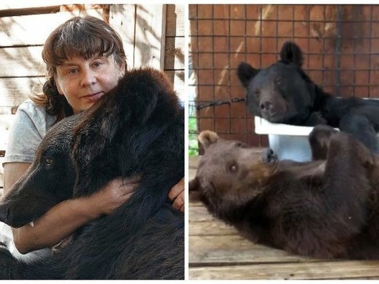 Застрявшие в Новосибирске цирковые медведи уехали в Москву