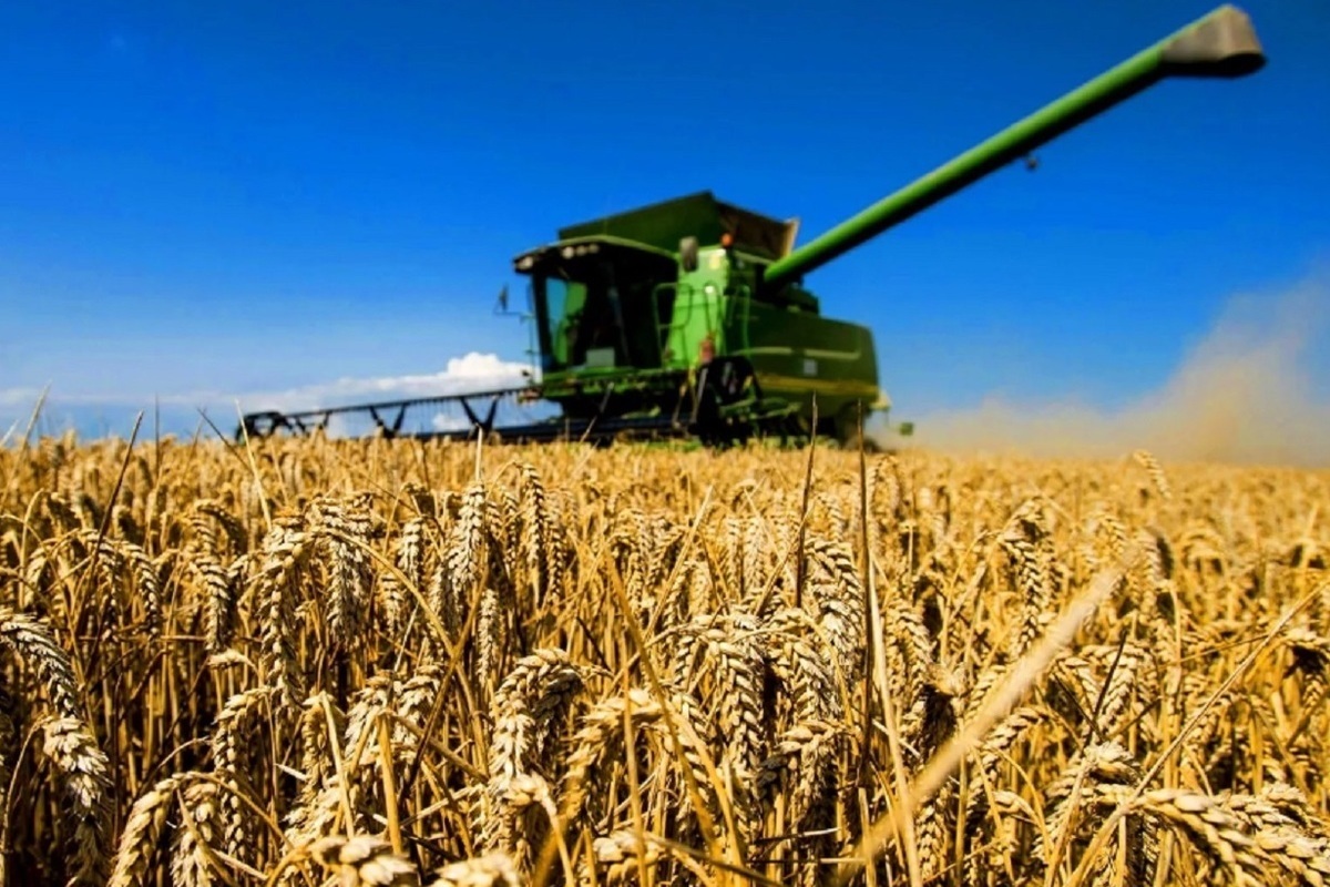 Ярославская область получит 427 миллионов рублей на поддержку аграрных предприятий