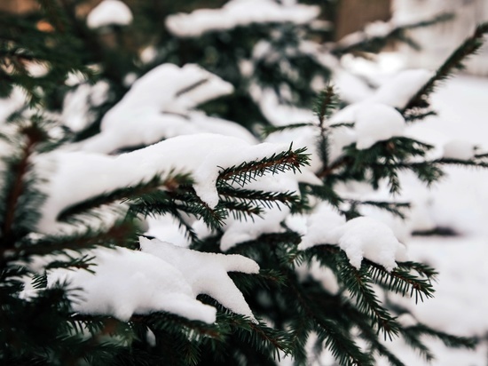 В Тверскую область пришел суровый декабрь: сильные морозы и снегопады