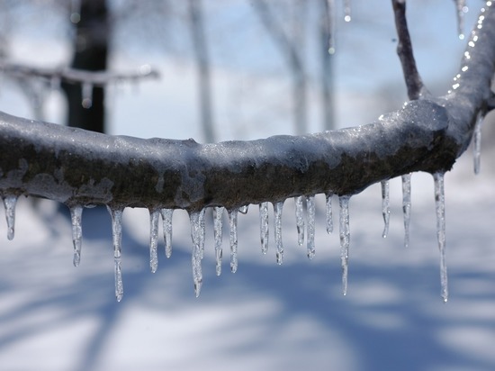 Последствия ледяного дождя в Нижегородской области планируют устранить до конца декабря