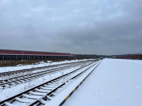 Контейнерный терминал построили в Чехове