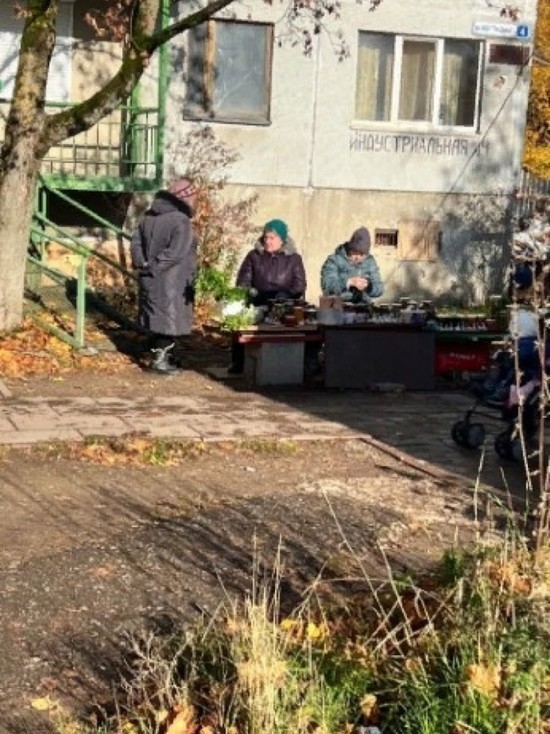 Псковский депутат помогает жителям Запсковья в восстановлении мини-рынка