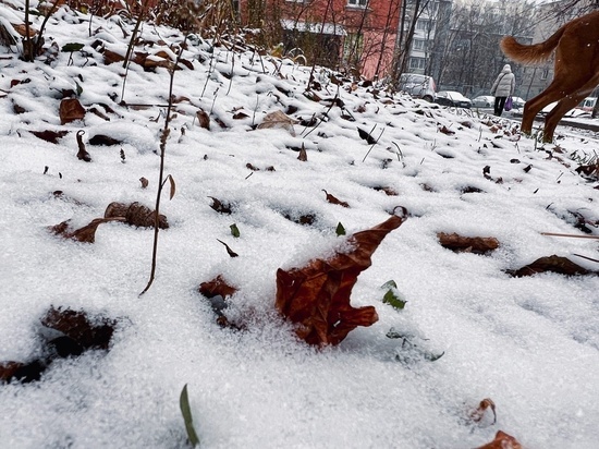 Жителей Тверской области предупредили об аномально-холодной погоде