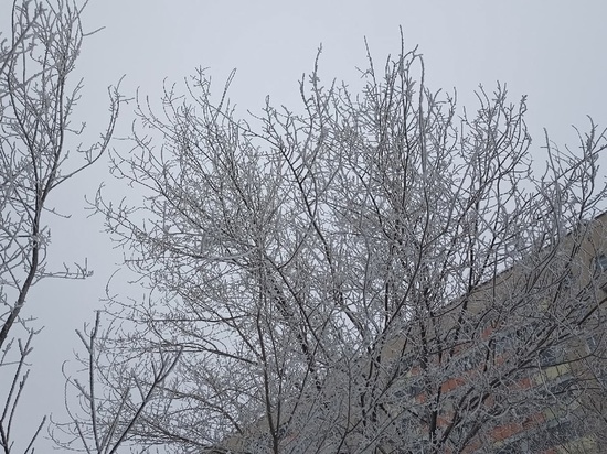 Жителей Оренбургской области информируют об аномальном похолодании