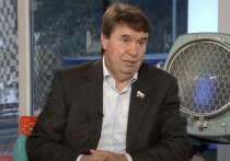 Член Совета Федерации Сергей Цеков заявил, что необходимость запрета иностранного алфавита в российской рекламе важна, поскольку латиница засоряет русский язык