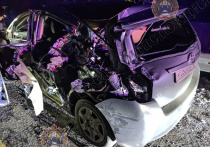 Накануне, вечером 30 ноября, на 178-ом километре автодороги М-4 "Дон" Венёвского района Тульской области, 41-летний мужчина за рулём грузовика марки "HINO 38787-92" врезался в попутный автомобиль "Toyota Verso"