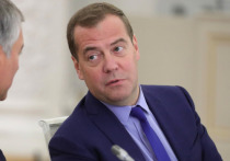 Заместитель председателя Совбеза РФ Дмитрий Медведев пристыдил немцев за утверждения о геноциде во время голодомора на Украине
