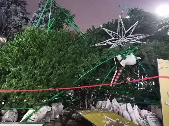 В Ростове установят 24-х метровую Новогоднюю елку