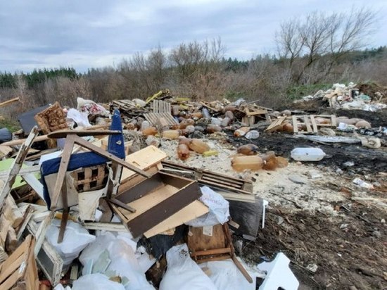 Свалка под Воронежем в Новоусманском районе принесла ущерб почве на 700 млн рублей
