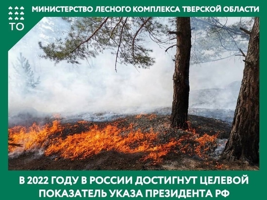 В Тверской области 92% лесных пожаров тушили в первый день