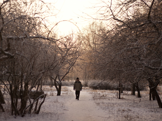 Аномальные морозы до -11 градусов придут в Петербург в ночь на 2 декабря